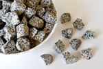 Dalmatian Jasper Rough Rocks