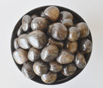 Bronzite Tumbled Stones