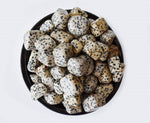 Dalmatian Jasper Tumbled Crystals (Luck And Good Fortune and Manifestation)