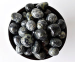 Kambaba Jasper Tumbled Stones
