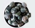 Moss Agate Tumbled Stones