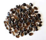 Dark Smokey Quartz Tumbled Stones