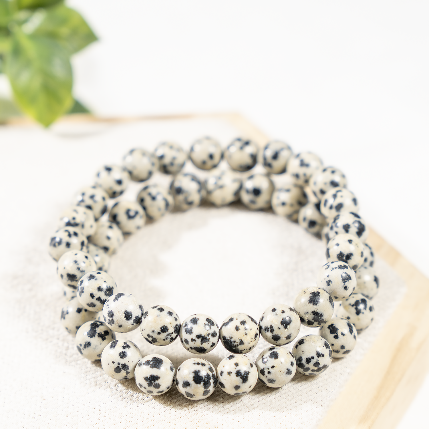 Dalmatian Jasper Bracelet