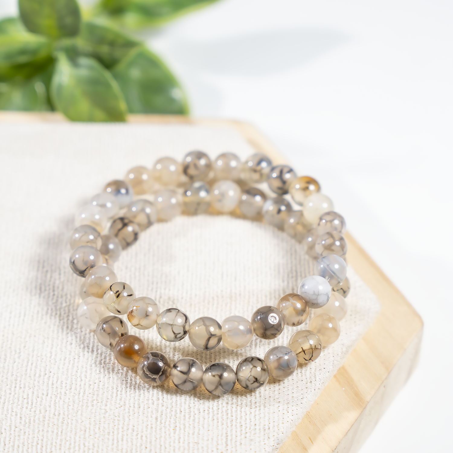 DragonVein Agate Black Bracelet