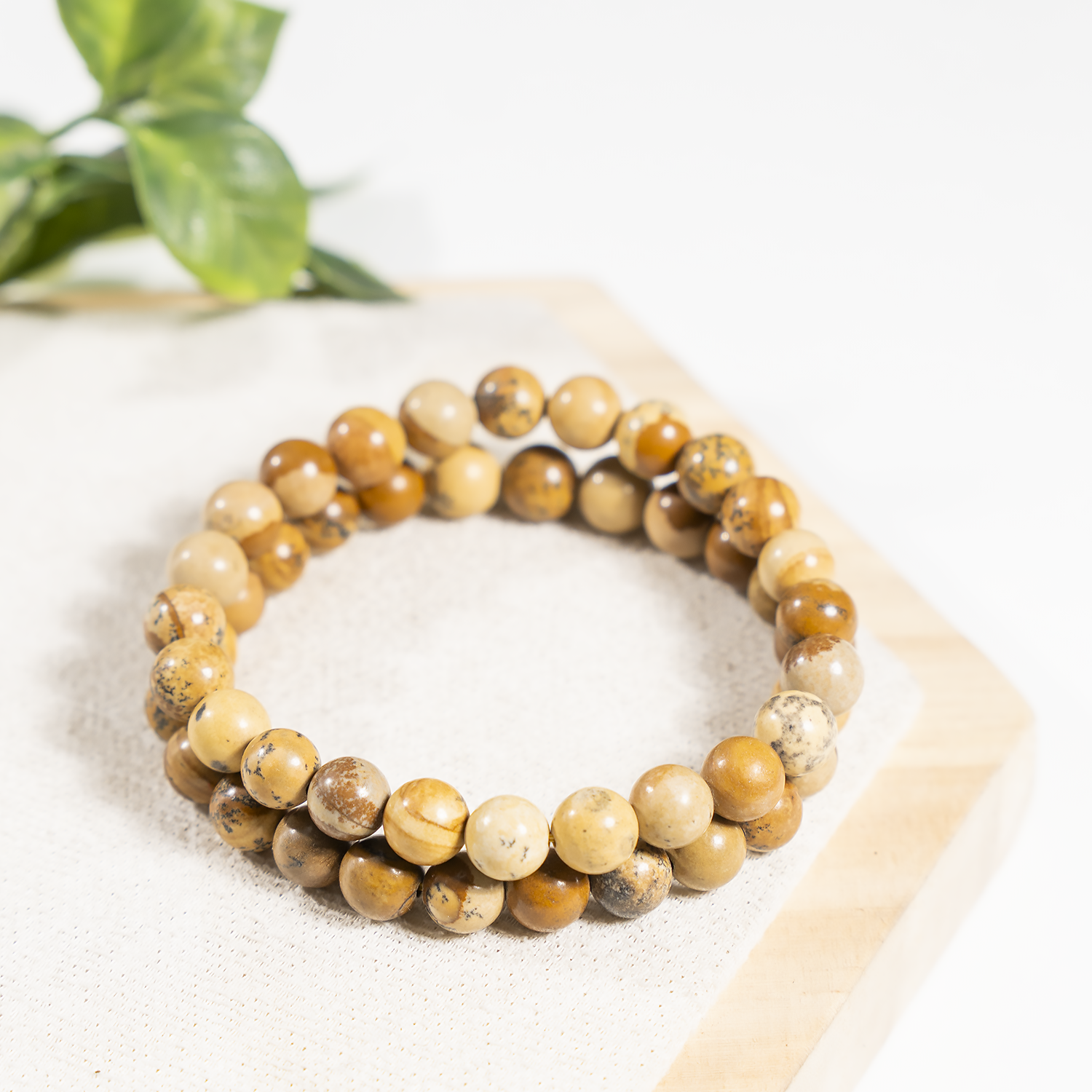 Picture Jasper Bracelet