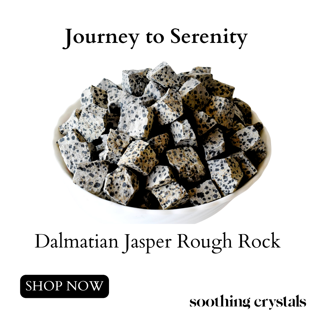 Dalmatian Jasper Rough Rocks