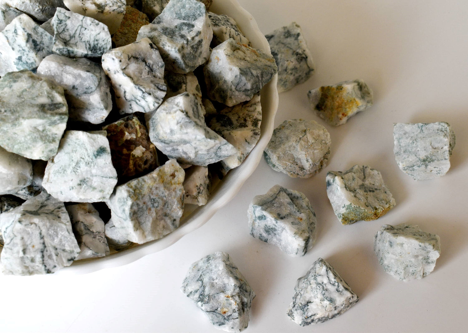 Tree Agate Rough Rocks