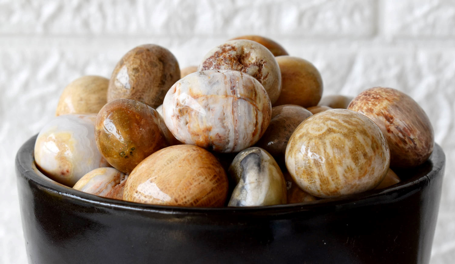 Fossil Coral Tumbled Stones