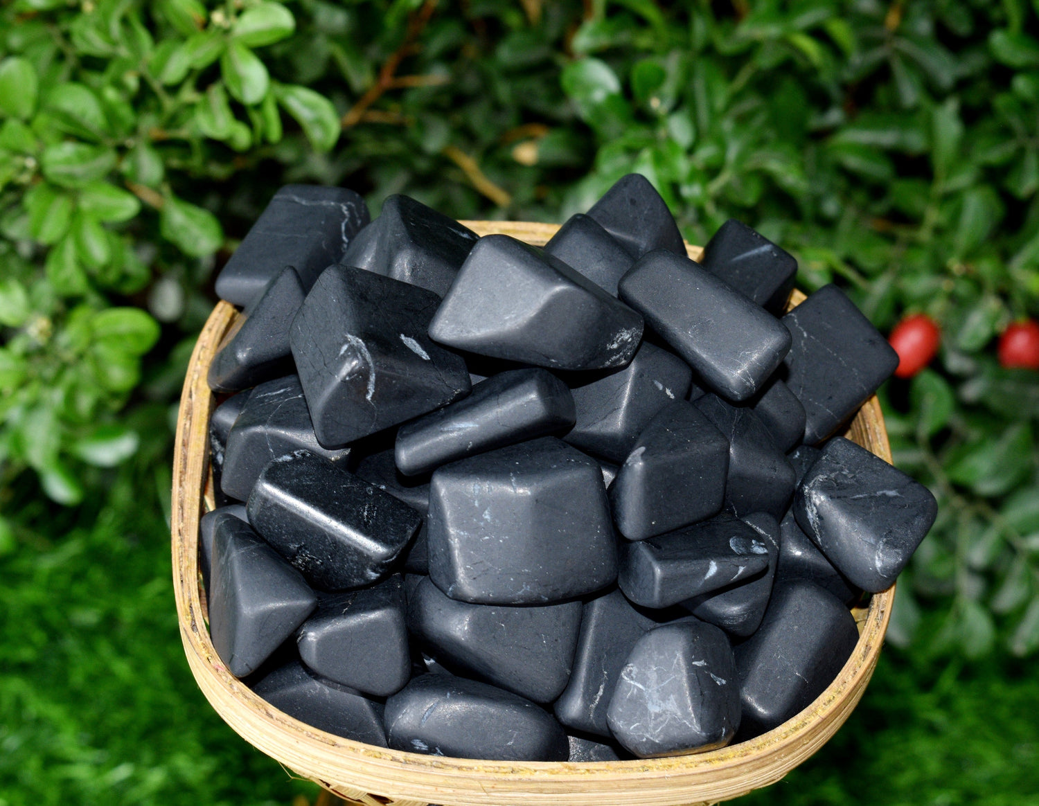 Black Shungite Tumbled Stones