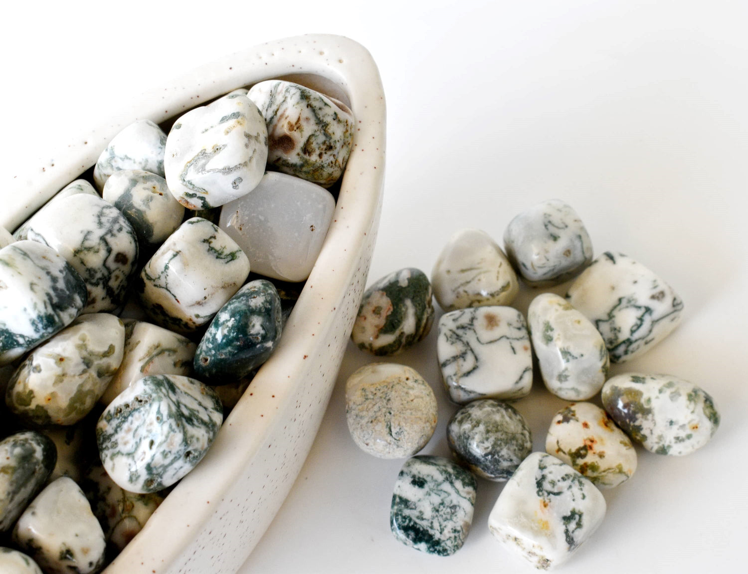 Tree Agate Tumbled Stones